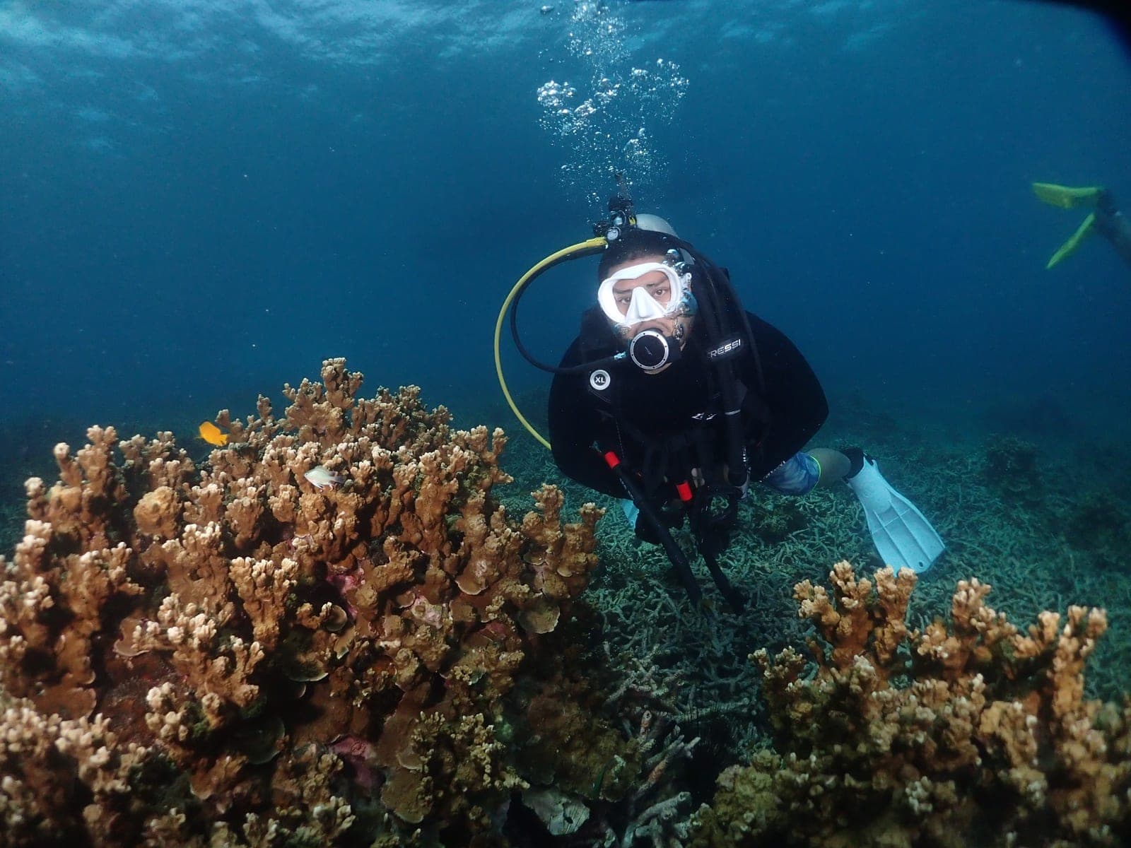 Dive with Doctors — Tioman