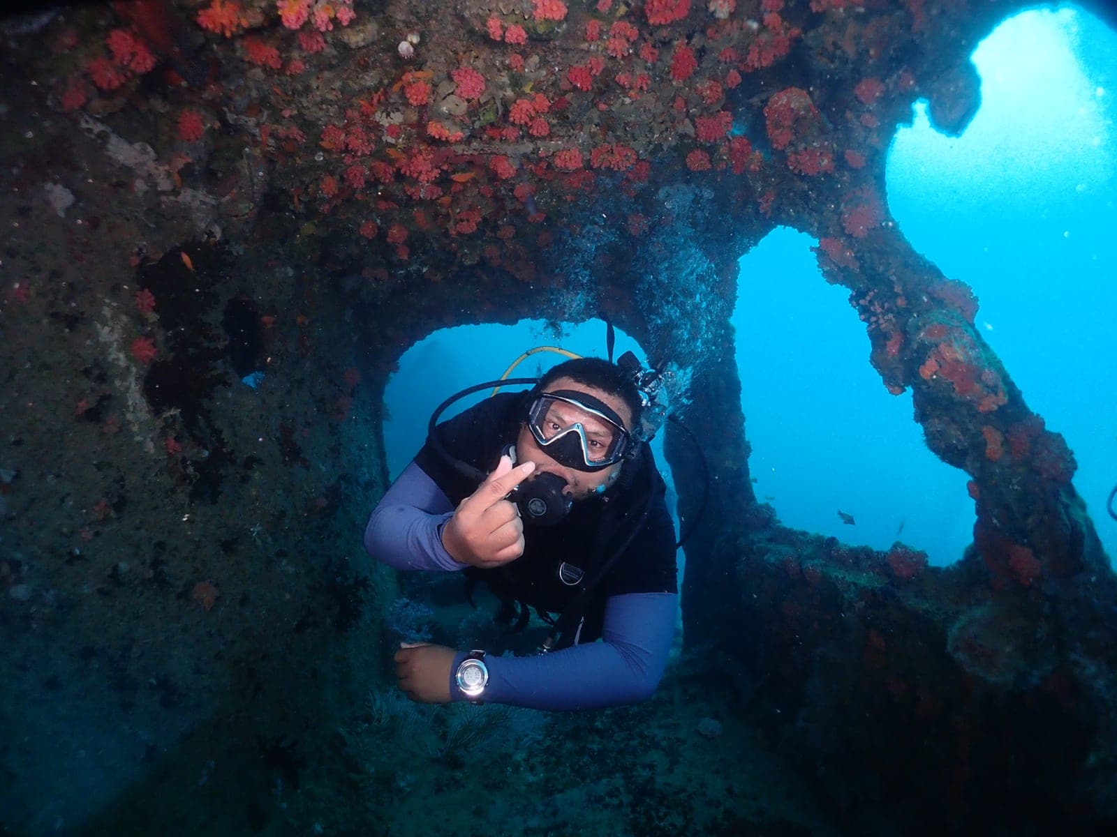 Dive with Survivors — Tioman